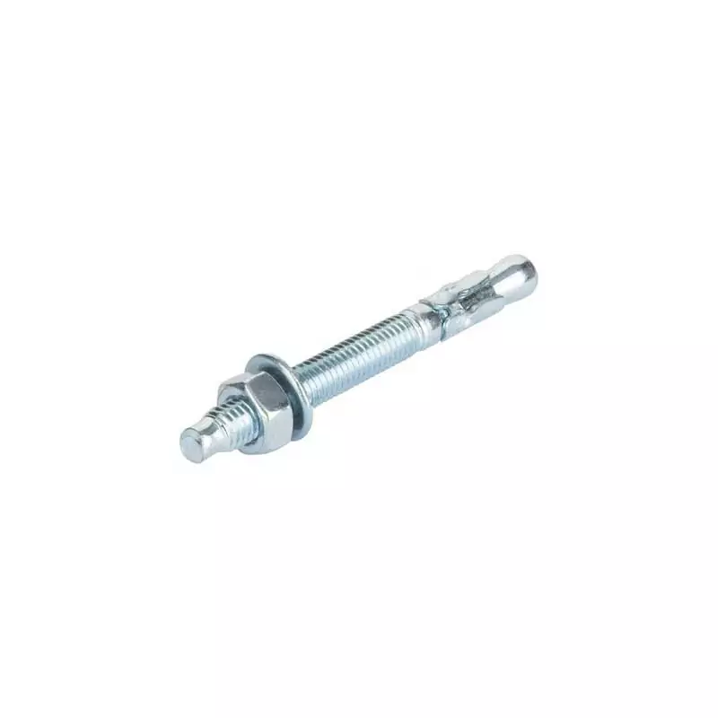 Bolt & Nut / Wedge Anchor 5